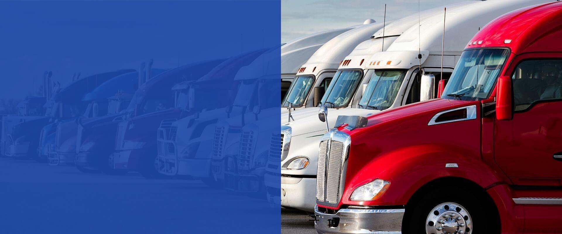 On-highway trucks operating across passenger and commercial transport markets